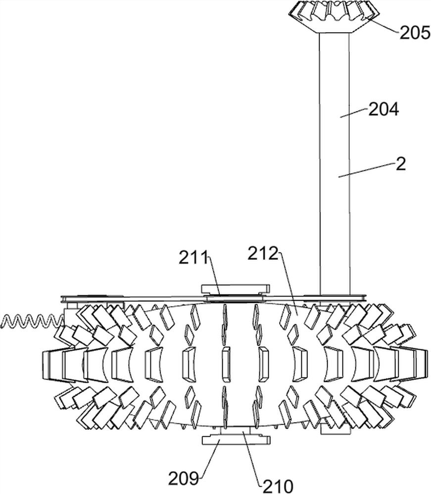 Scraping device for viscera and scales of edible sea snakes