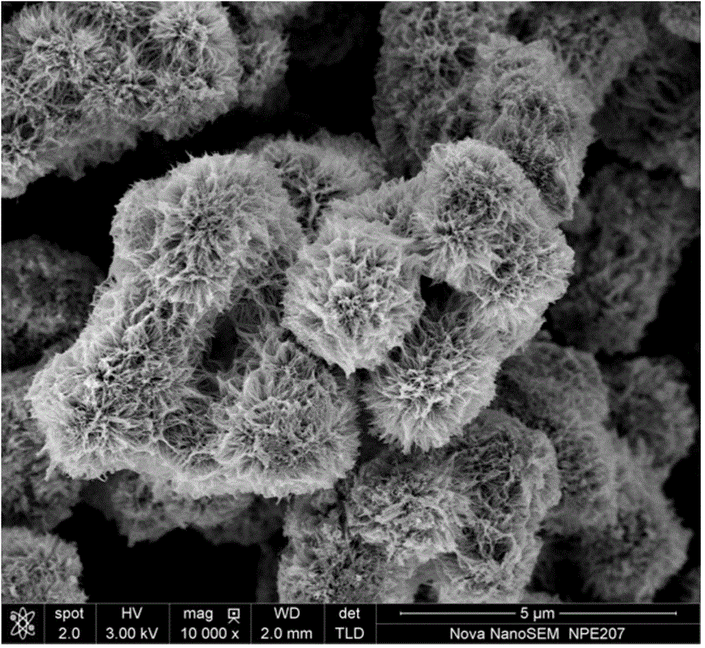 Preparation method of self-assembled three-dimensional Pt/TiO2 hierarchical-structure photocatalyst