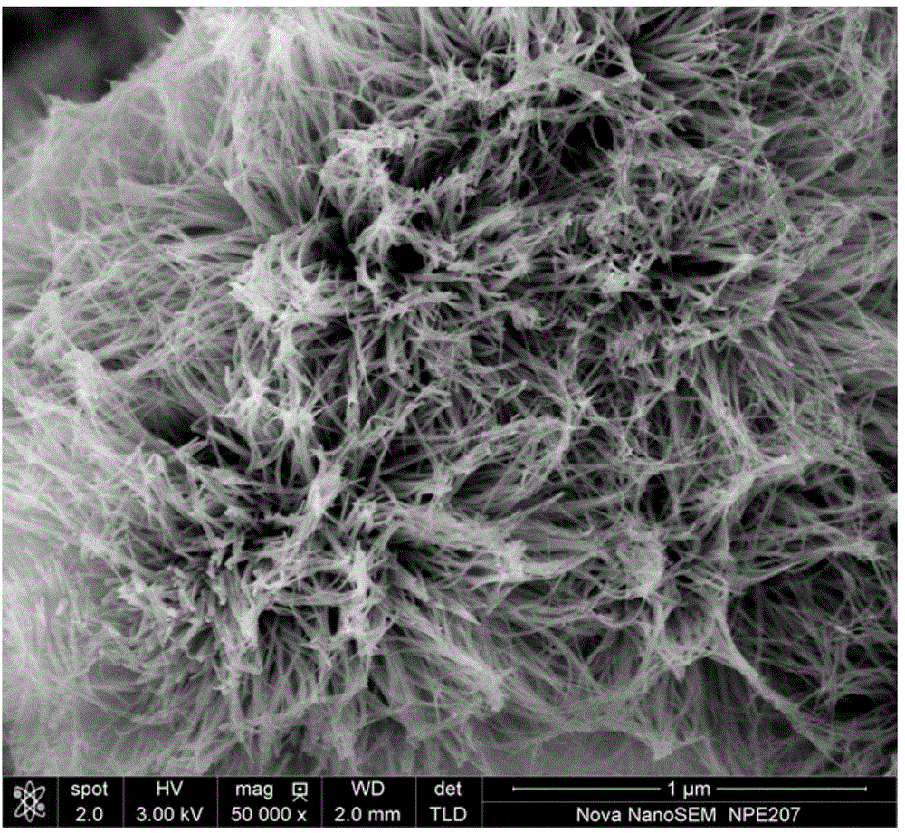 Preparation method of self-assembled three-dimensional Pt/TiO2 hierarchical-structure photocatalyst