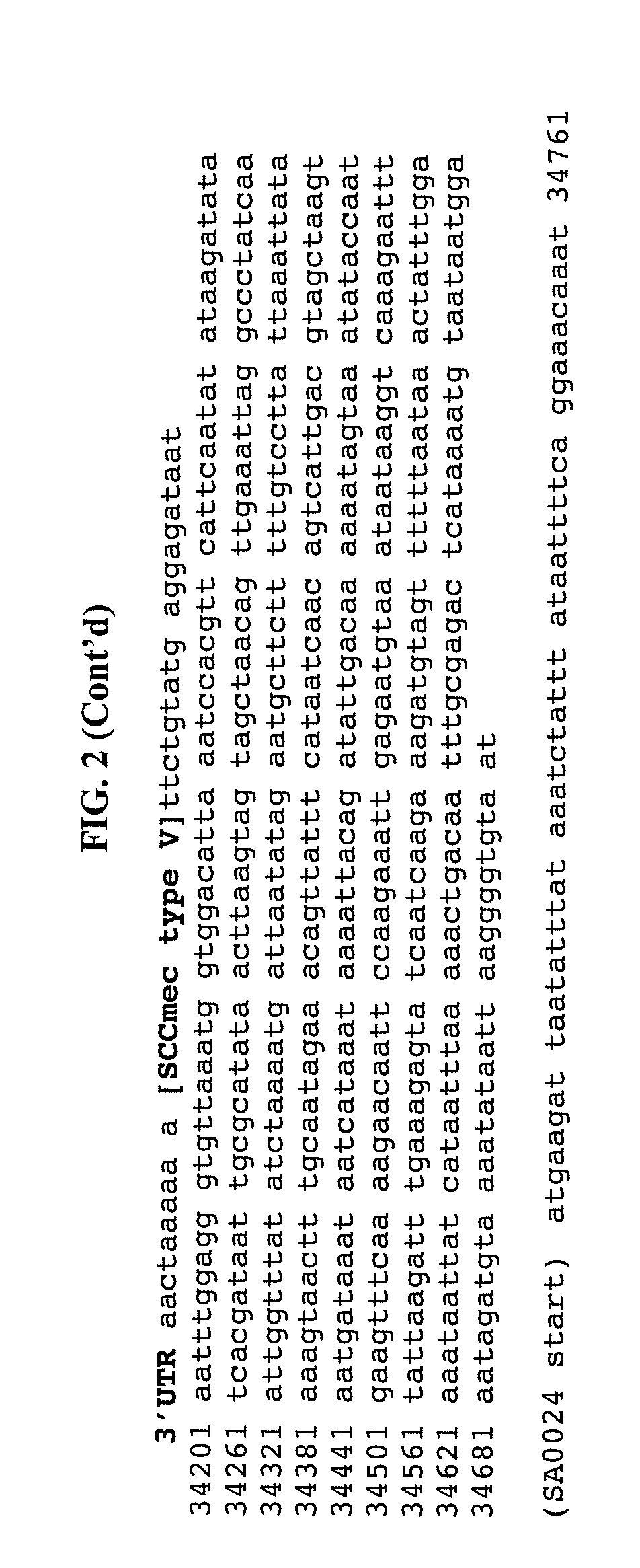 Method of determining types I, II, III, IV or V or methicillin-resistant Staphylococcus aureus (MRSA) in a biological sample