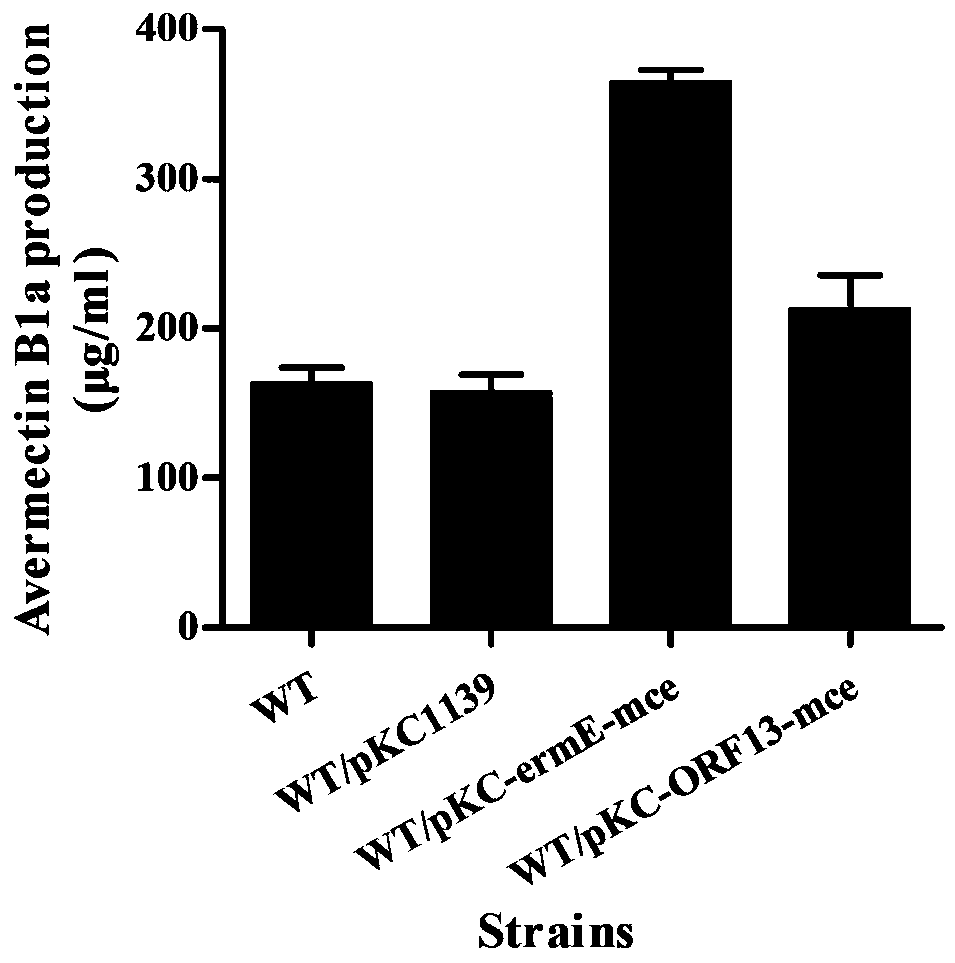 Method for improving yield of avermectin and producing strain
