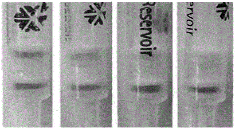 Immunoaffinity gel detection column for detecting furaltadone metabolite