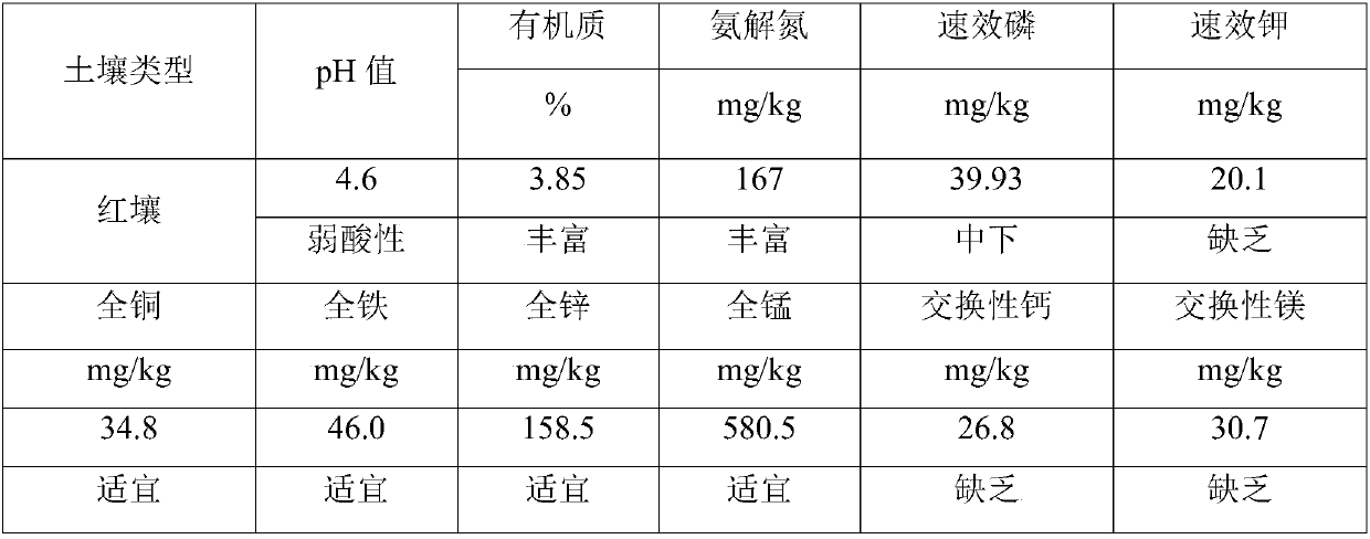 Micro-balancing ecological fertilizer special for castanea henryi and application