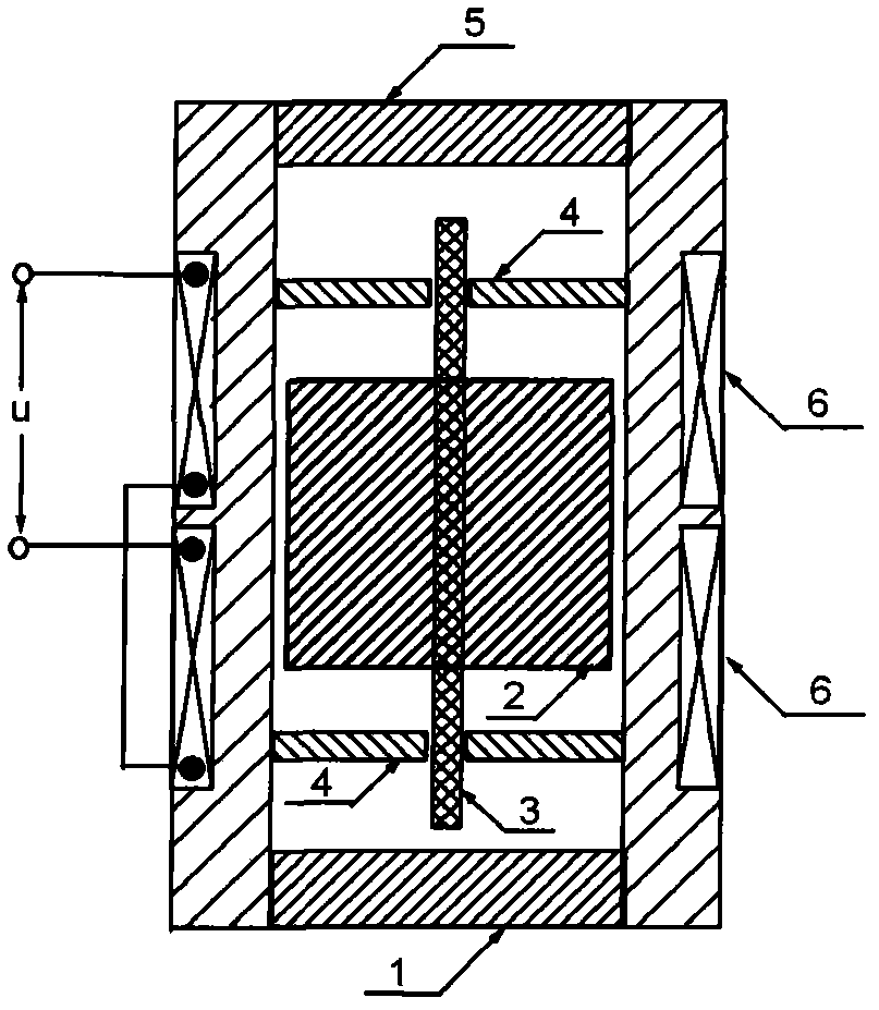 Maglev electromagnetic induction cymoscope