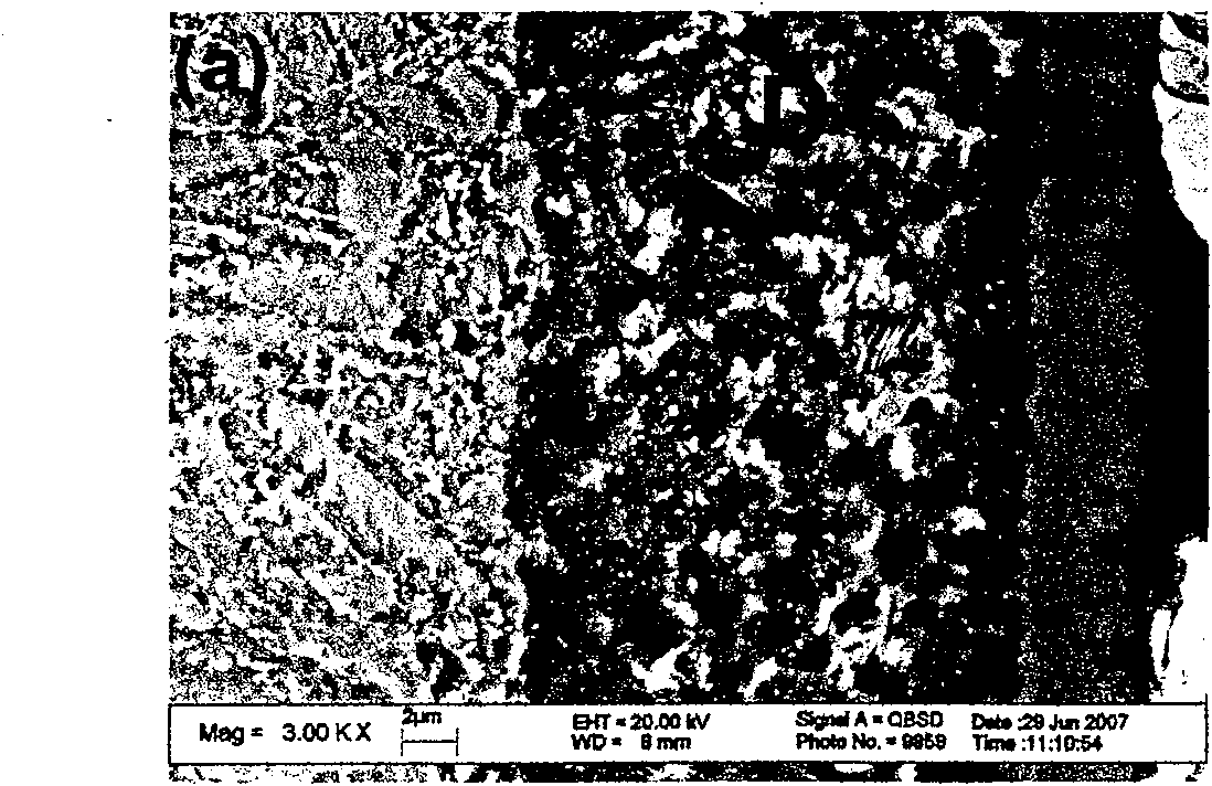 Method for directly growing nano-crystal chromium nitride film on steel products