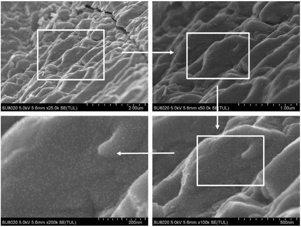 One-step superfast preparation method for SnSe block thermoelectric material