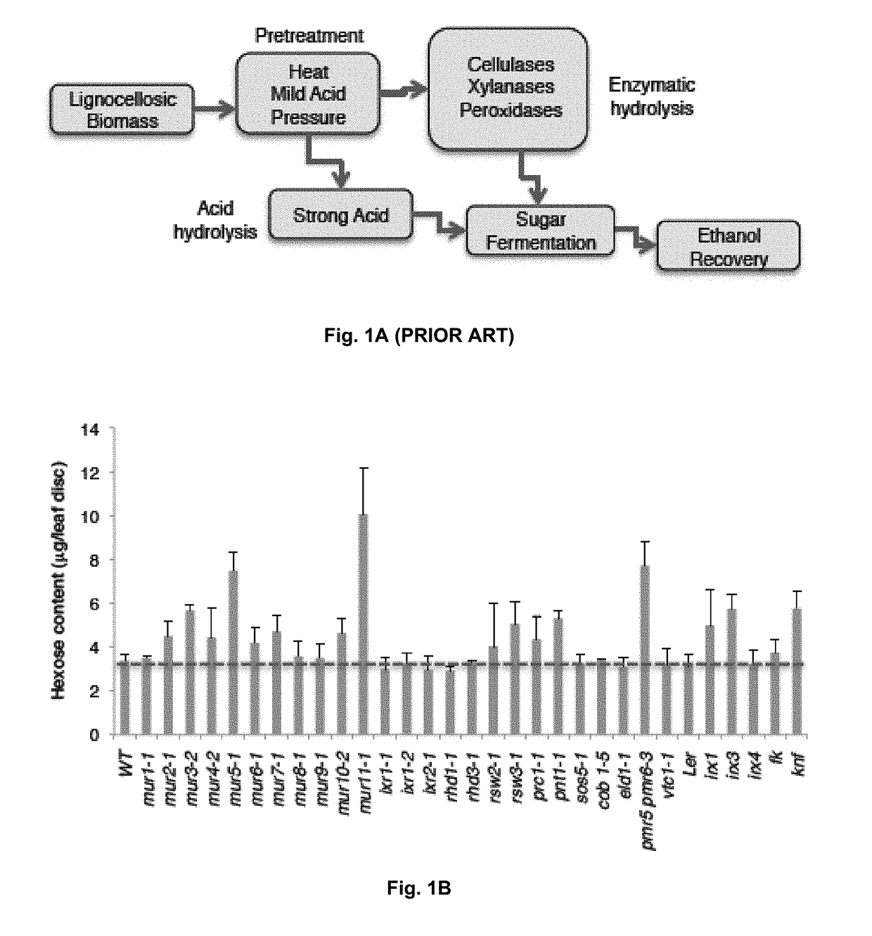 Compositions, methods, and plant genes for the improved production of fermentable sugars for biofuel production