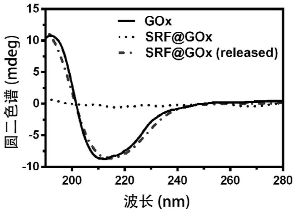 A kind of nano therapeutic agent and its preparation method and application
