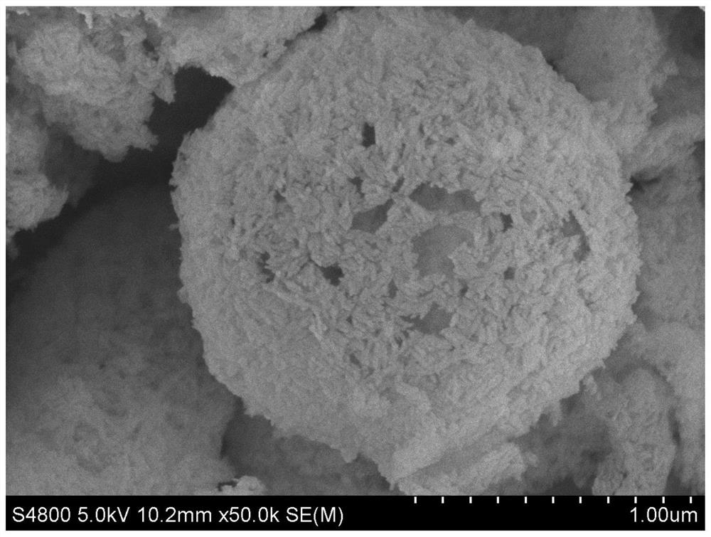 A preparation method of ultrafine β-feooh nanorods self-assembled hollow microspheres under the action of urea