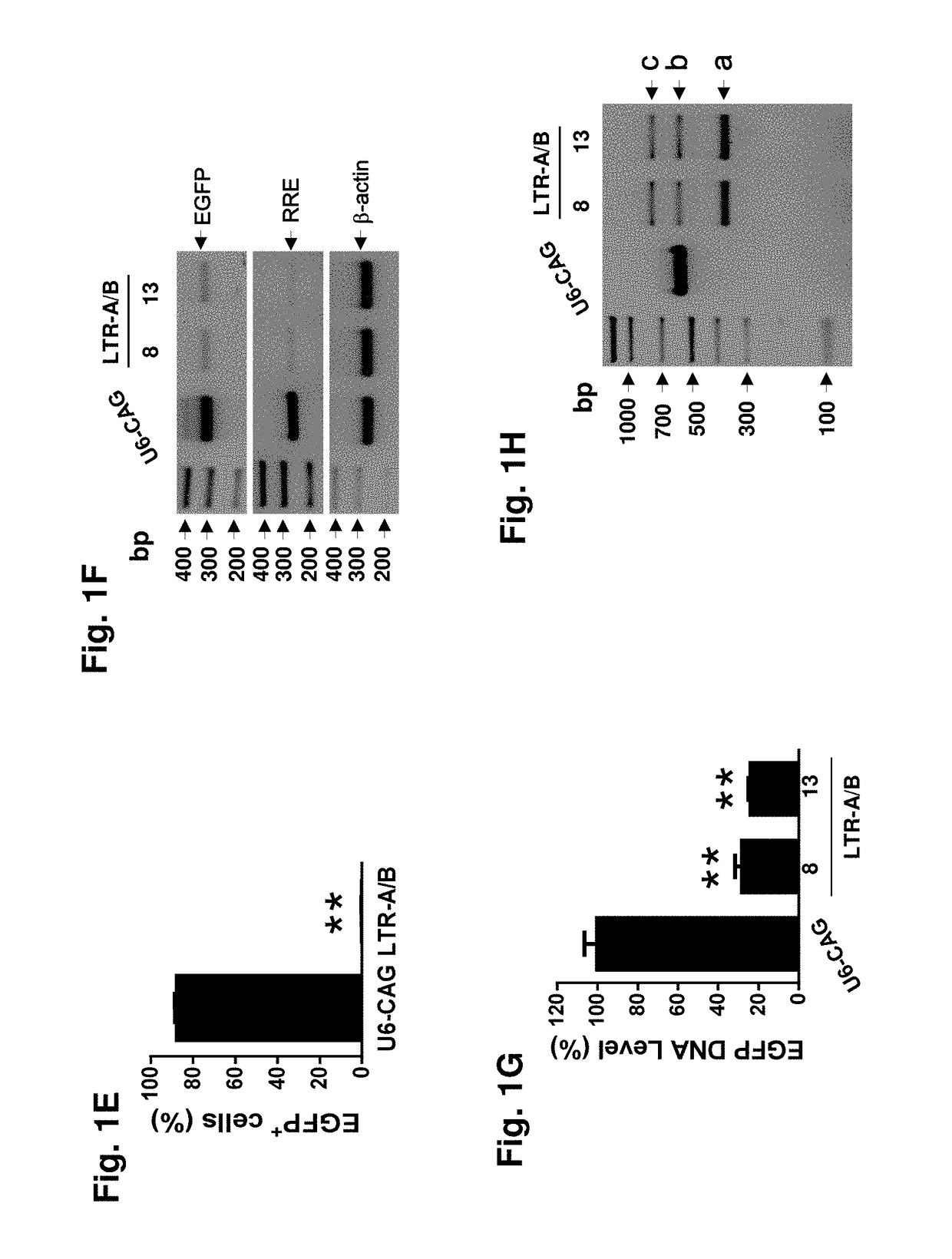 Methods and compositions for RNA-guided treatment of HIV infection