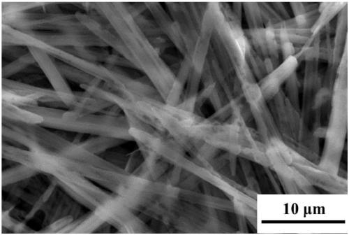 Titanate having a nanometer structure and preparing method and application thereof