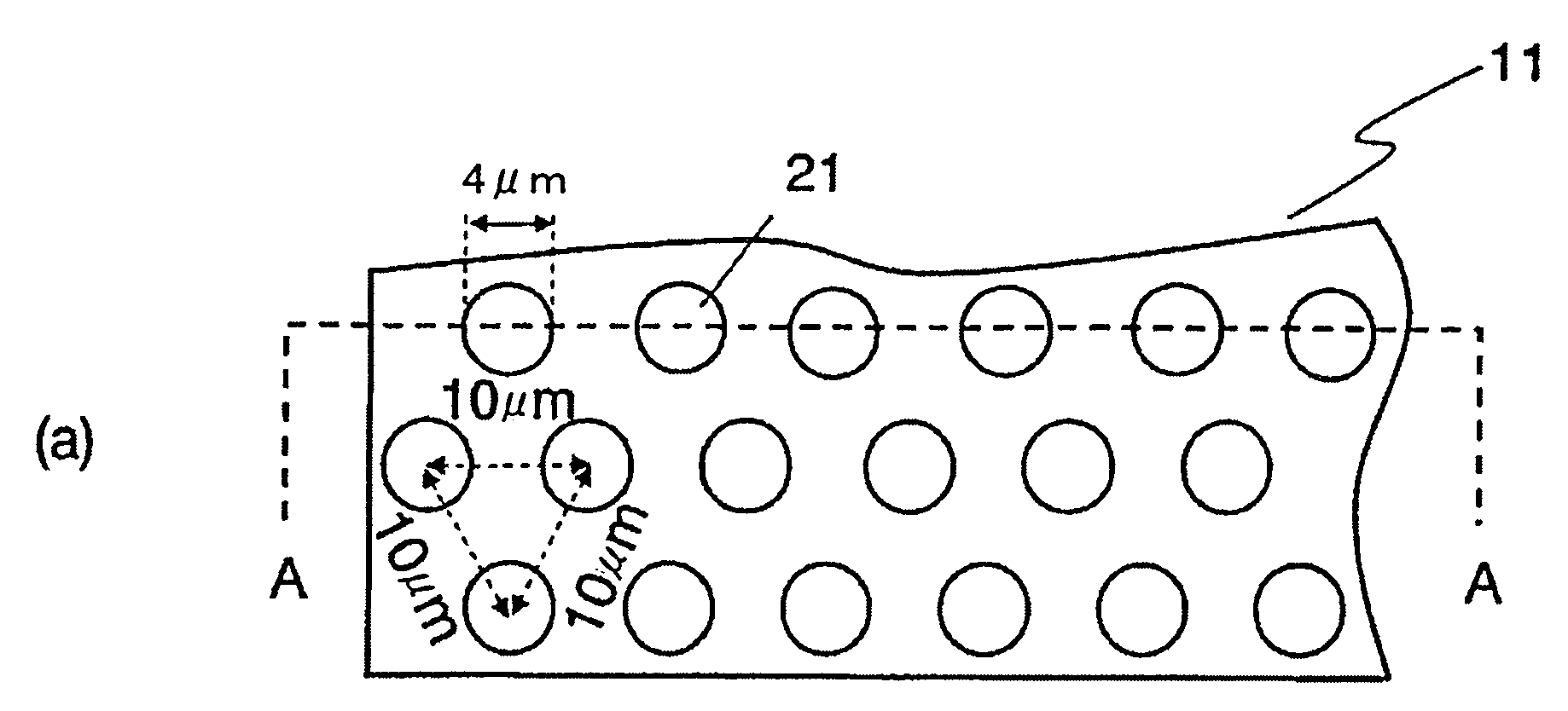 Reflector and apparatus including the reflector