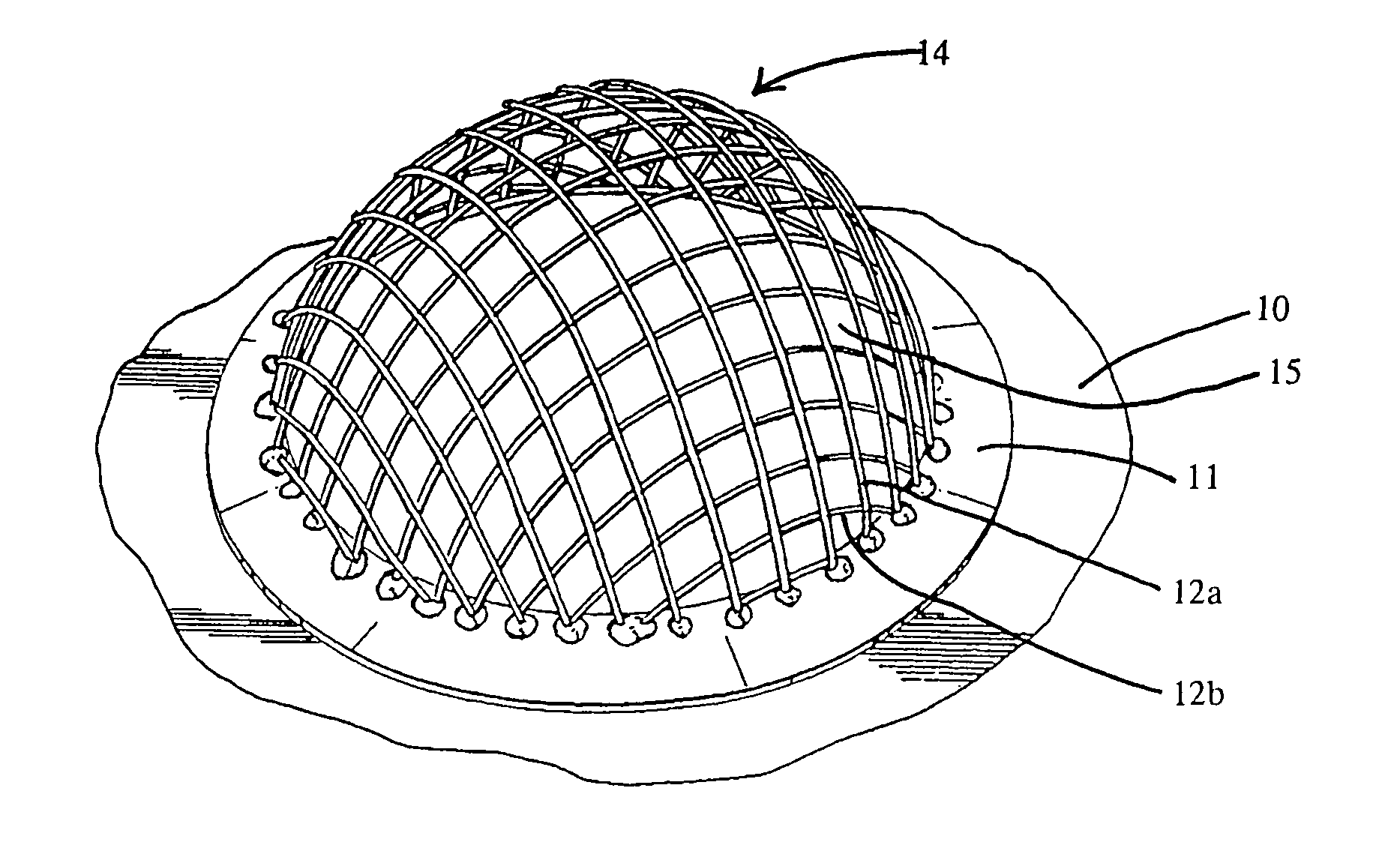 Device for sizing a human female breast