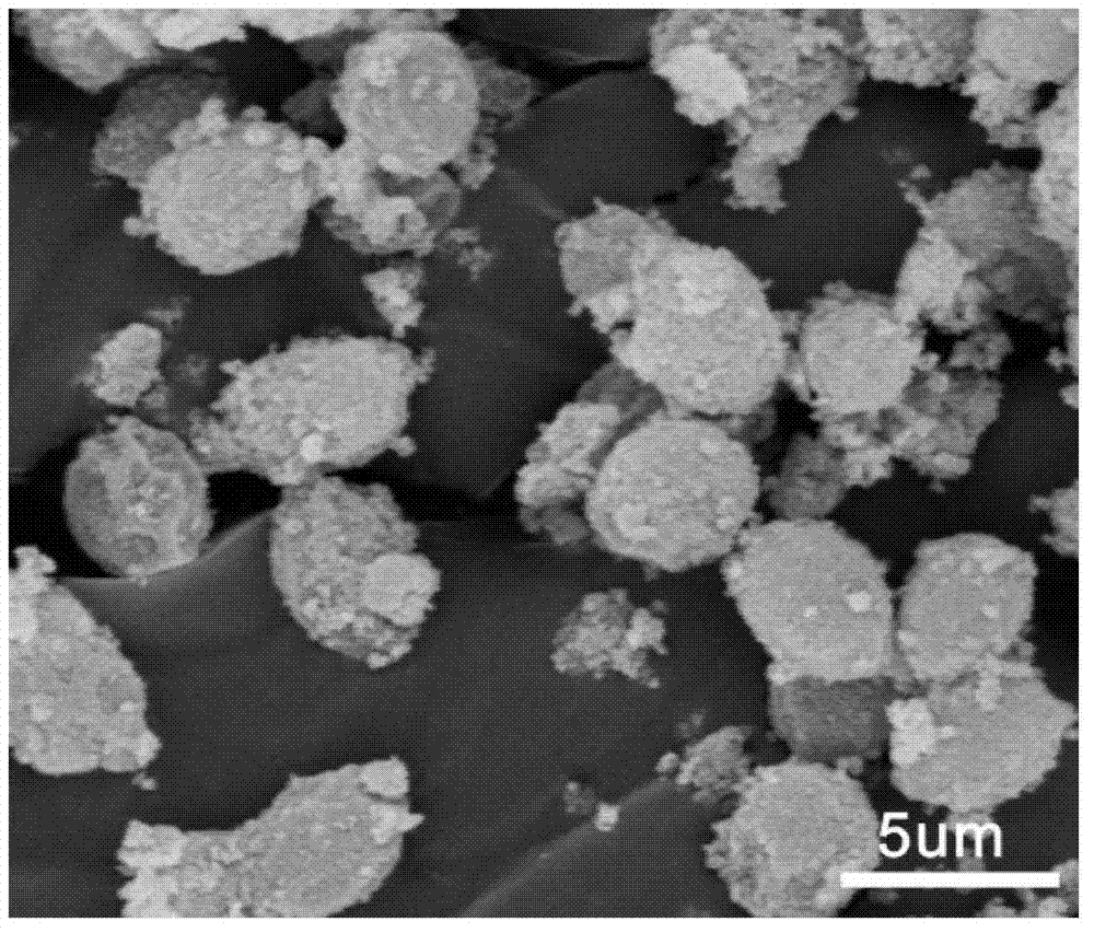 Preparation method of yeast microsphere magnetic composite material surface imprinted adsorbent