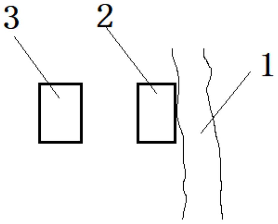 Tomato planting method