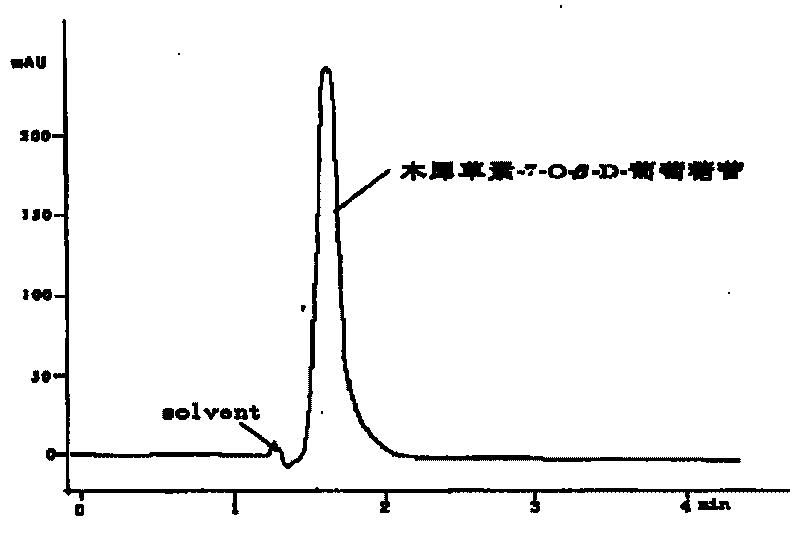 Process of extracting luteolin-O-beta-D-glucoside from elsholtzia bodinieri