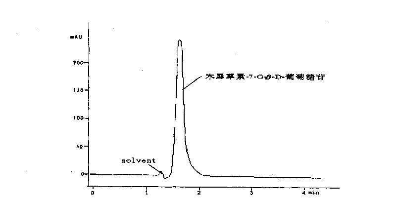 Process of extracting luteolin-O-beta-D-glucoside from elsholtzia bodinieri