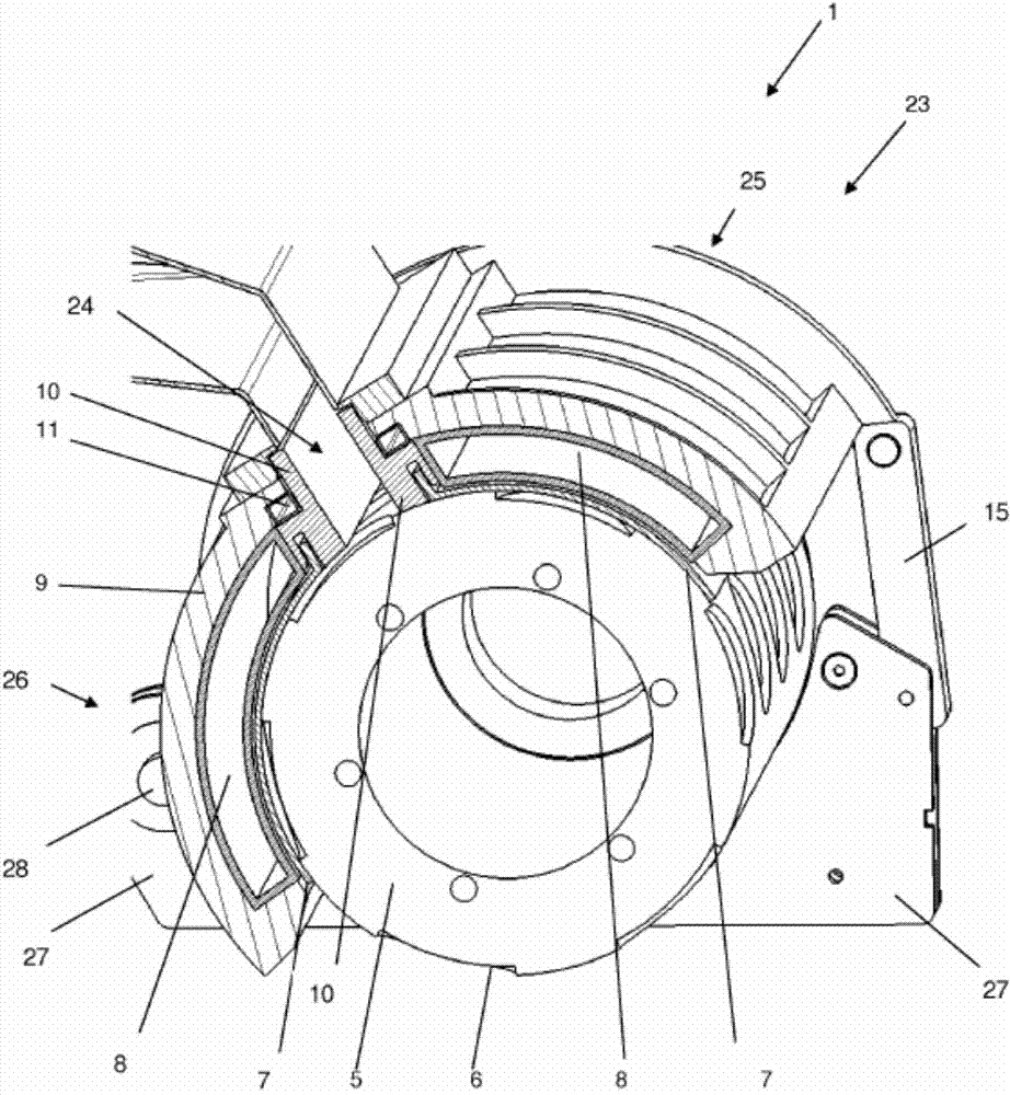Food forming apparatus with a food feed member