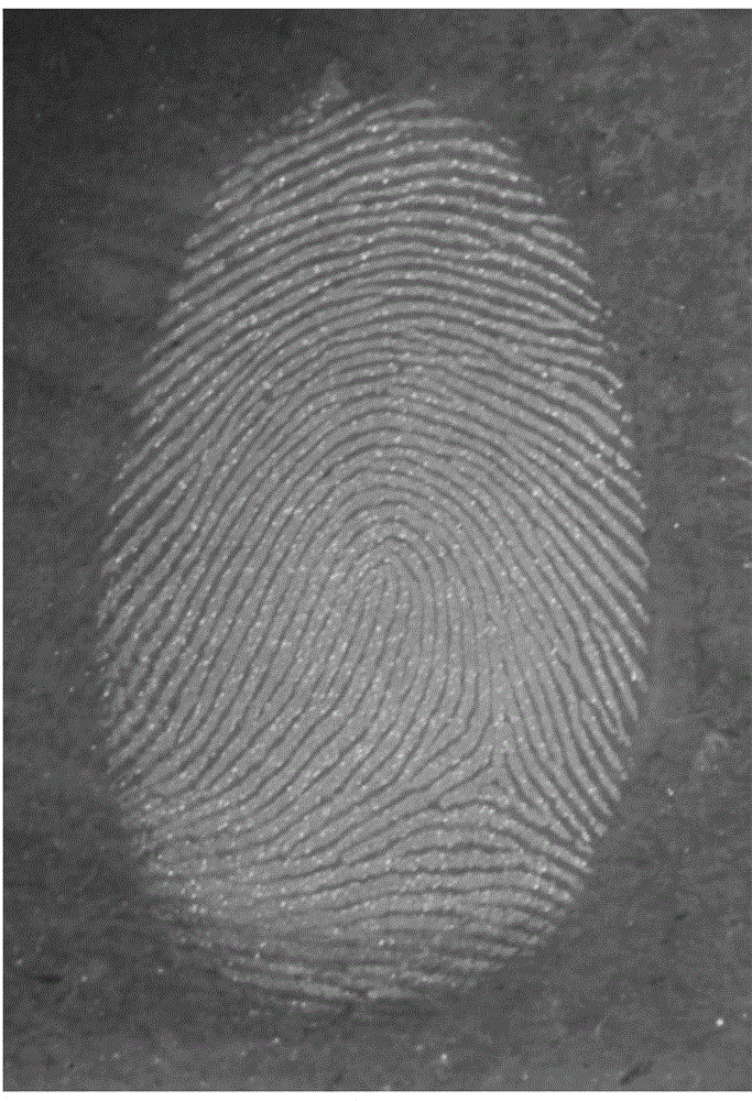 Two-step latent fingerprint manifesting method based on nano-particles