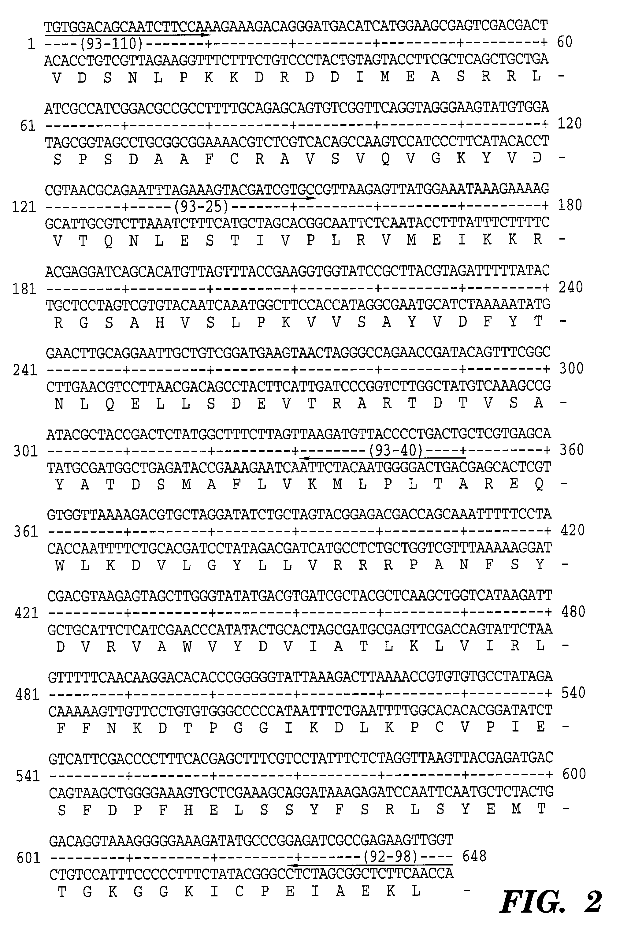 Grapevine leafroll virus proteins and their uses