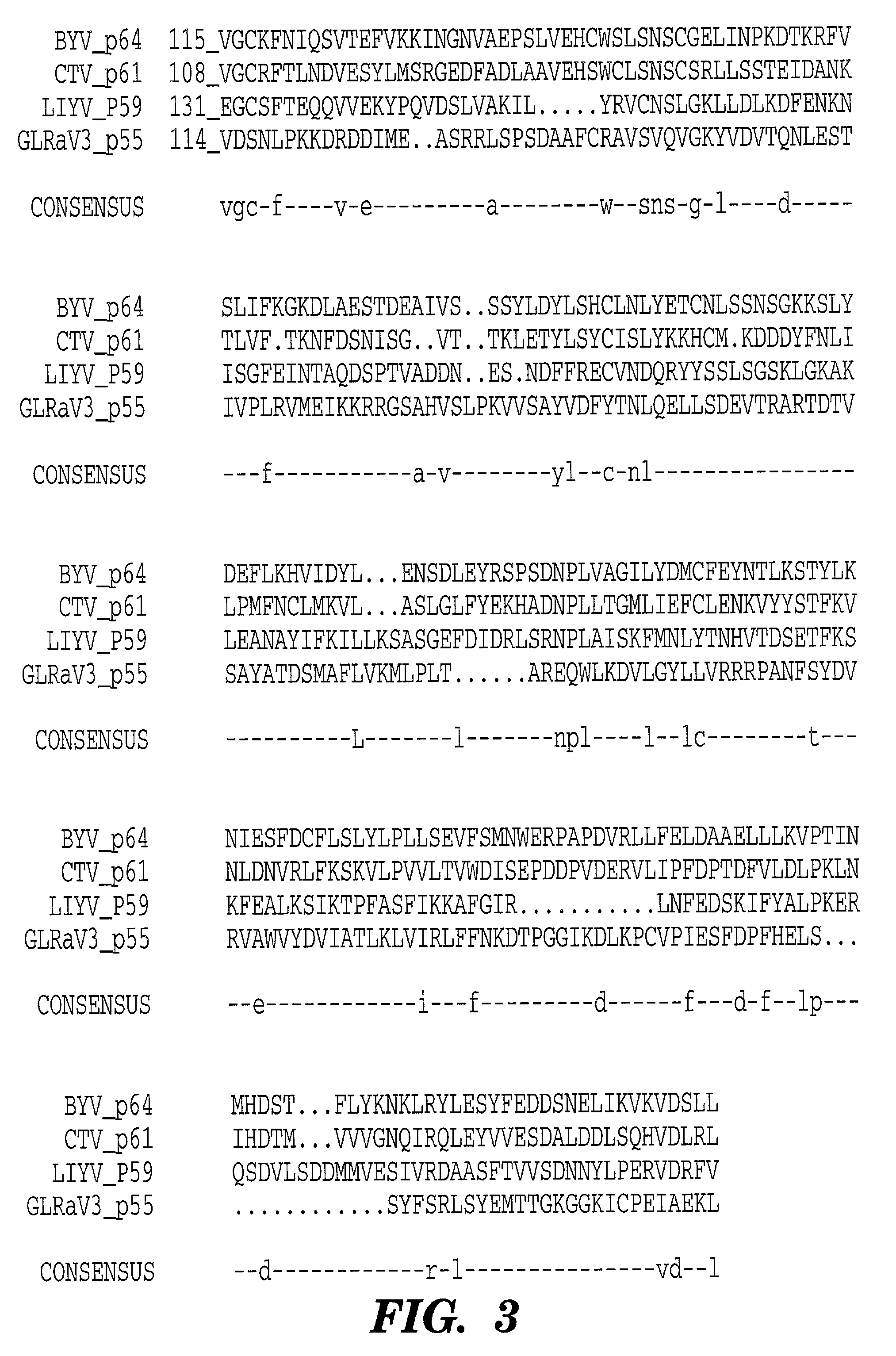 Grapevine leafroll virus proteins and their uses