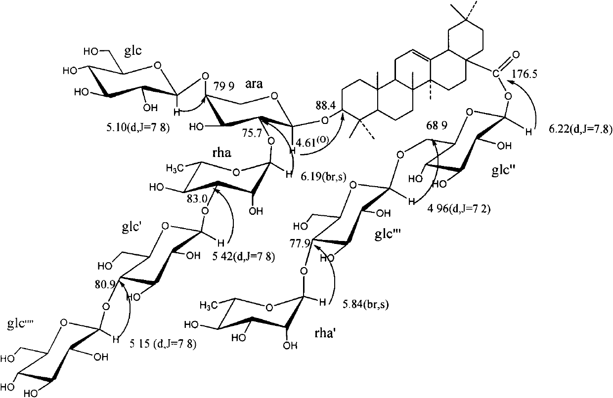 Pentacyclic triterpene saponin and application thereof