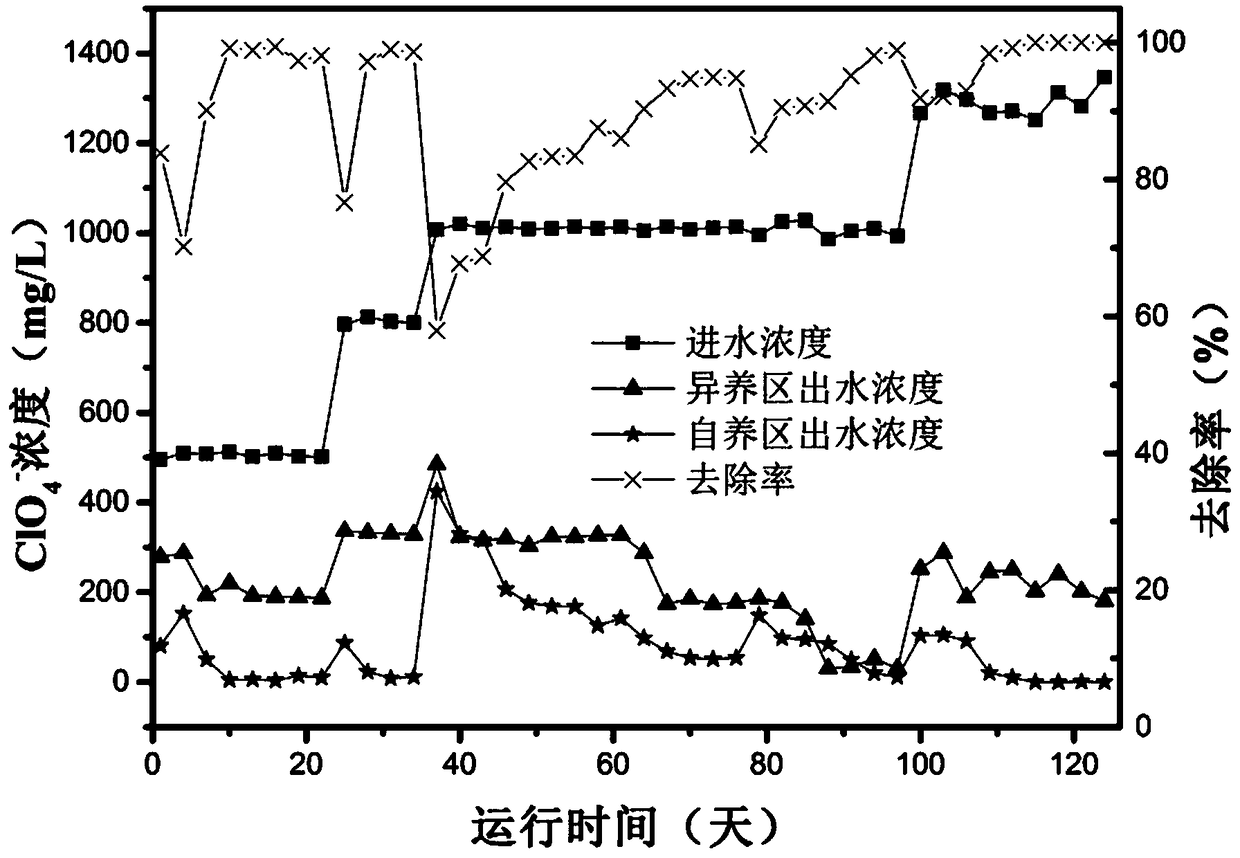 ABR (anaerobic baffled reactor) system and regulation and control method to degrade high-concentration perchlorate wastewater