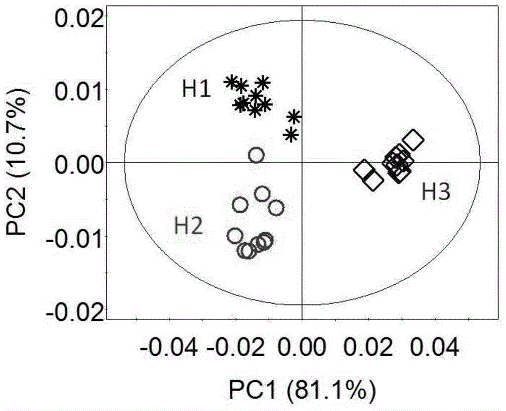 Identification method for porphyra haitanensis in different harvesting periods