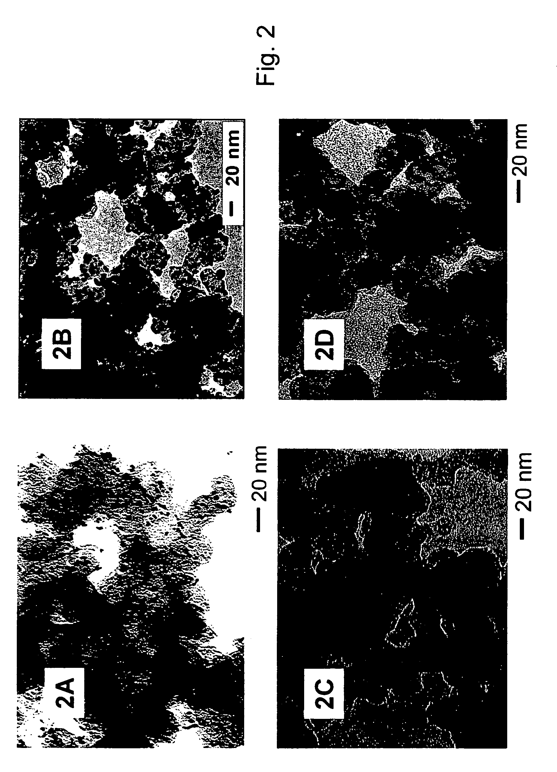 Metal and alloy nanoparticles and synthesis methods thereof