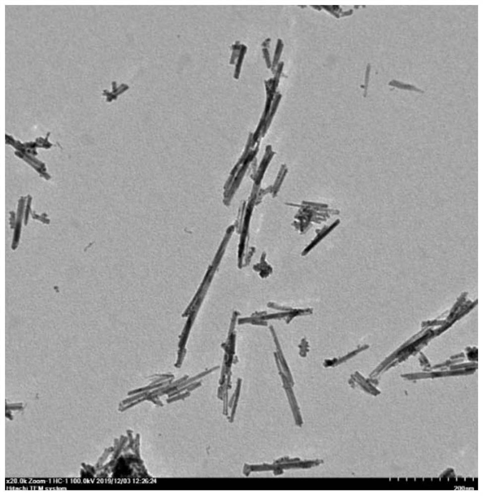 Monatomic platinum composite cerium dioxide nanoparticle for tumor electrodynamic therapy and preparation method of monatomic platinum composite cerium dioxide nanoparticle