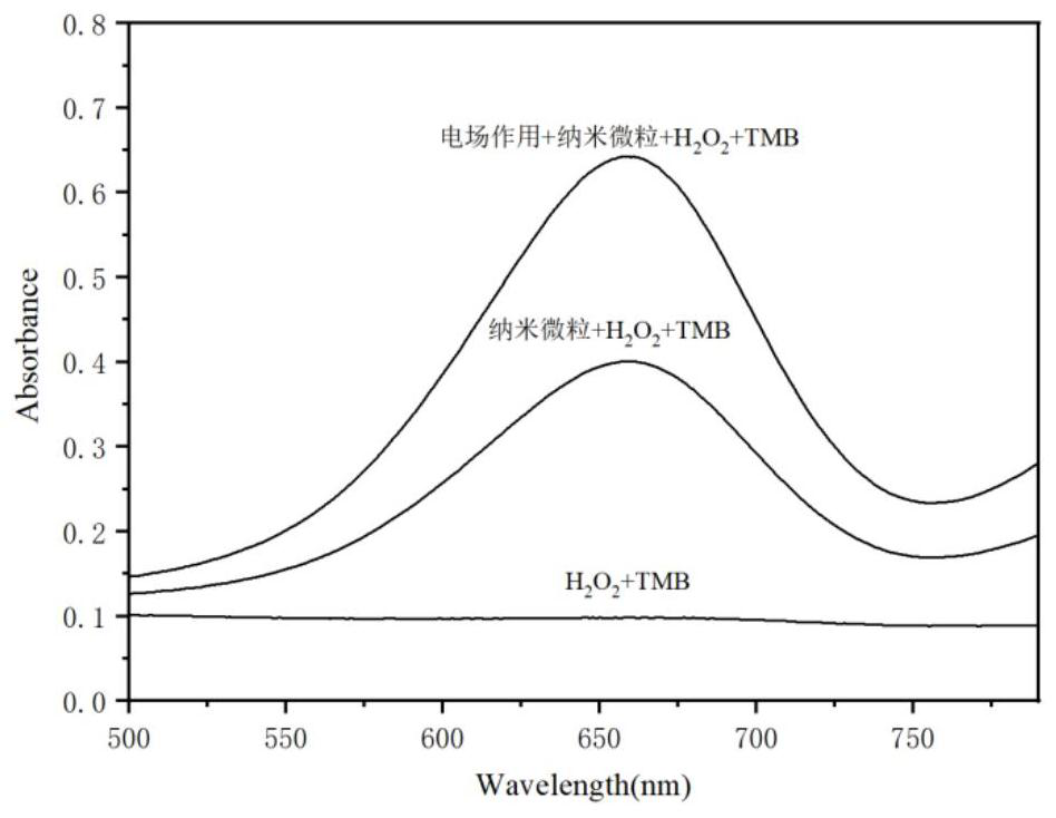 Monatomic platinum composite cerium dioxide nanoparticle for tumor electrodynamic therapy and preparation method of monatomic platinum composite cerium dioxide nanoparticle