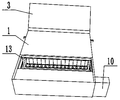 Uniform-thickness slicing device for kiwi fruit processing