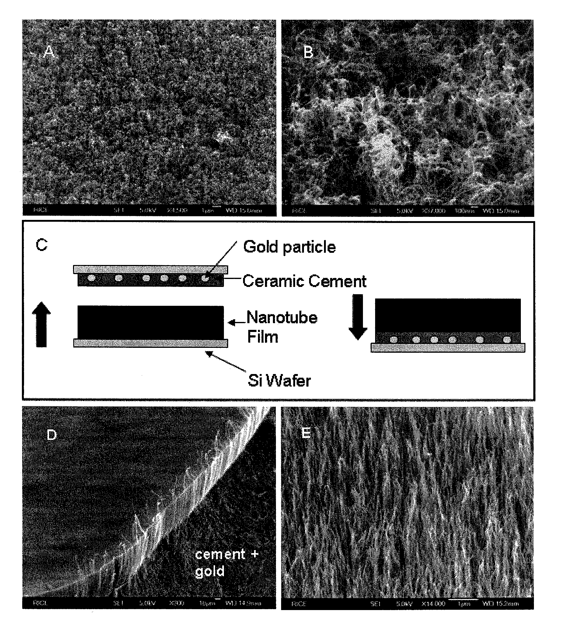 Embedded arrays of vertically aligned carbon nanotube carpets and methods for making them