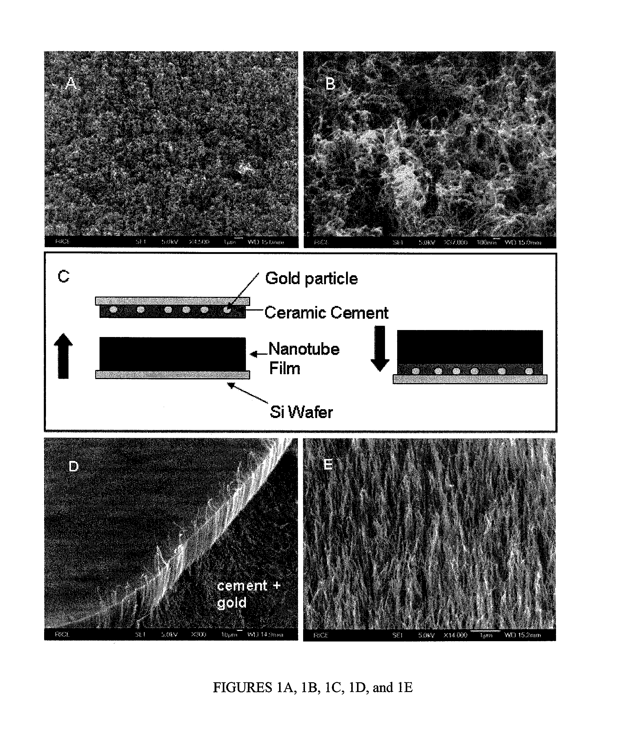 Embedded arrays of vertically aligned carbon nanotube carpets and methods for making them