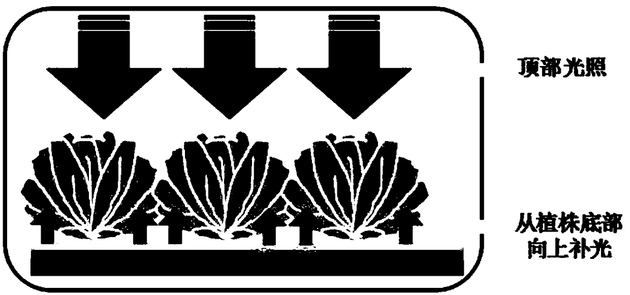 Method for increasing content of Vc of leaf vegetables inside plant factory