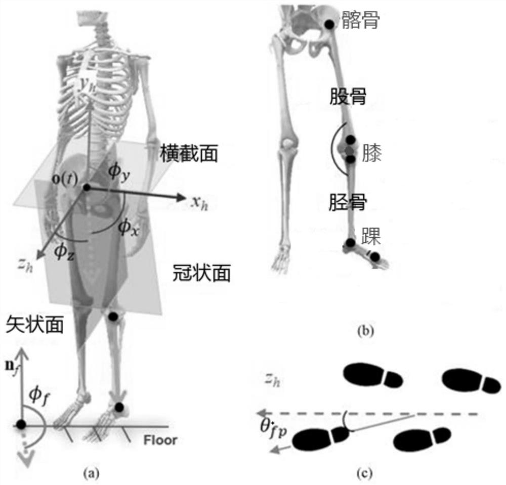 Human body lower limb joint angle measuring method and system