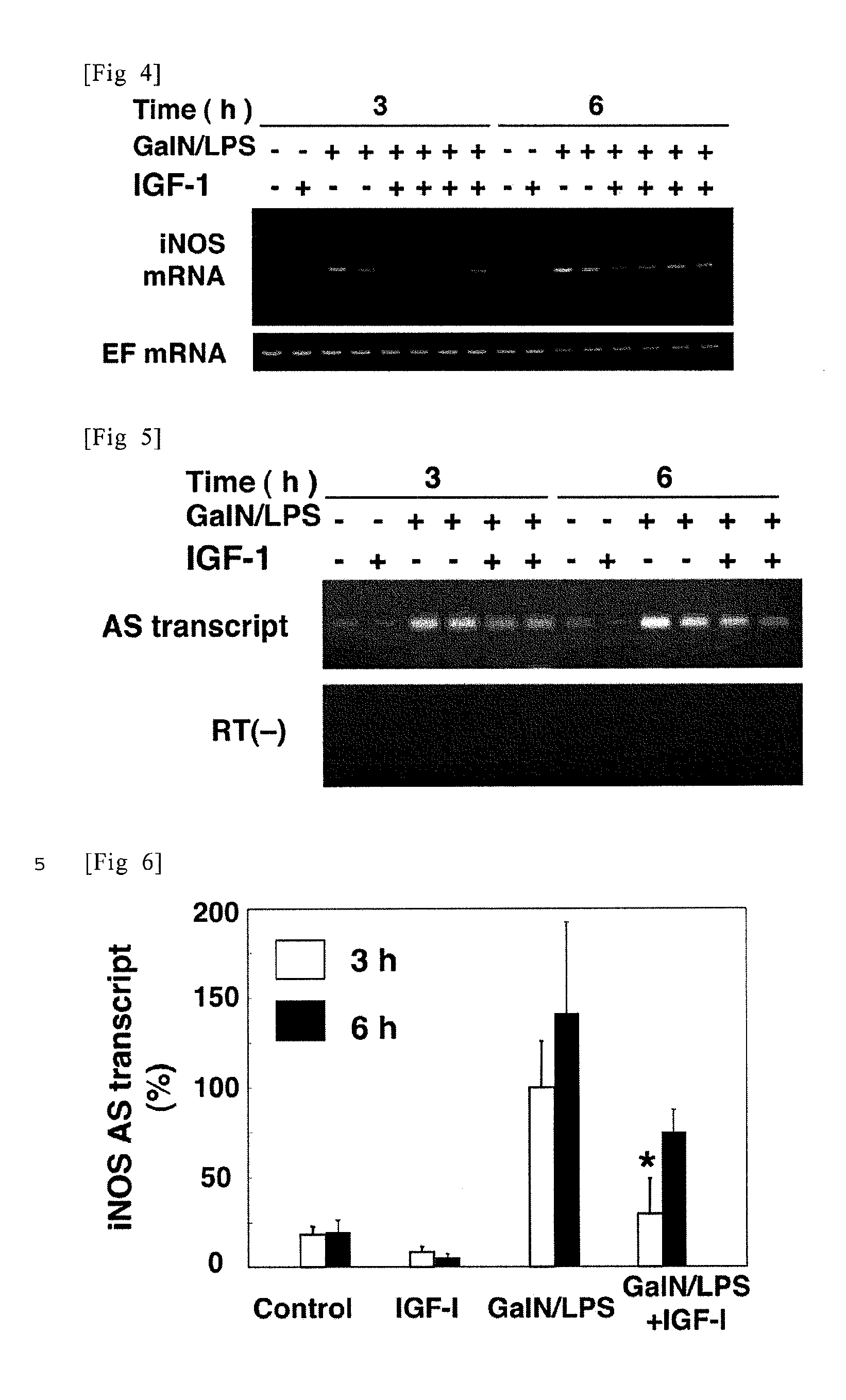 Sense oligonucleotide capable of controlling the expression of inos and composition comprising the same