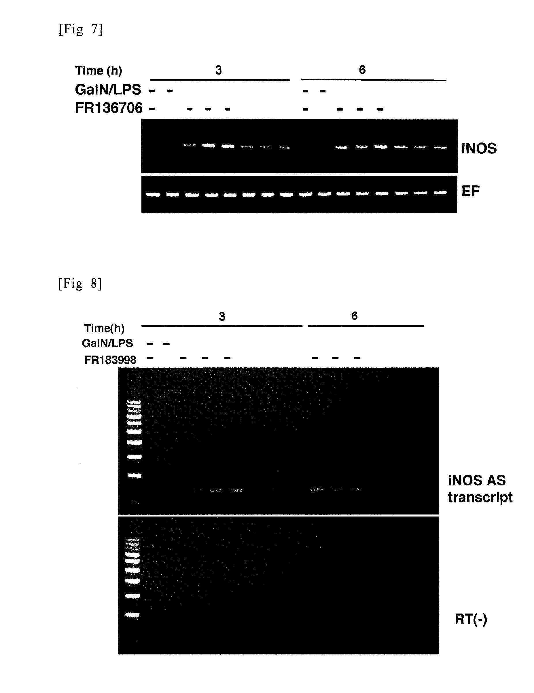 Sense oligonucleotide capable of controlling the expression of inos and composition comprising the same