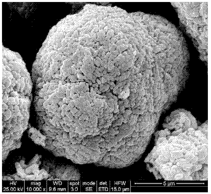 A lithium battery metal oxide precursor, positive electrode material and preparation method thereof