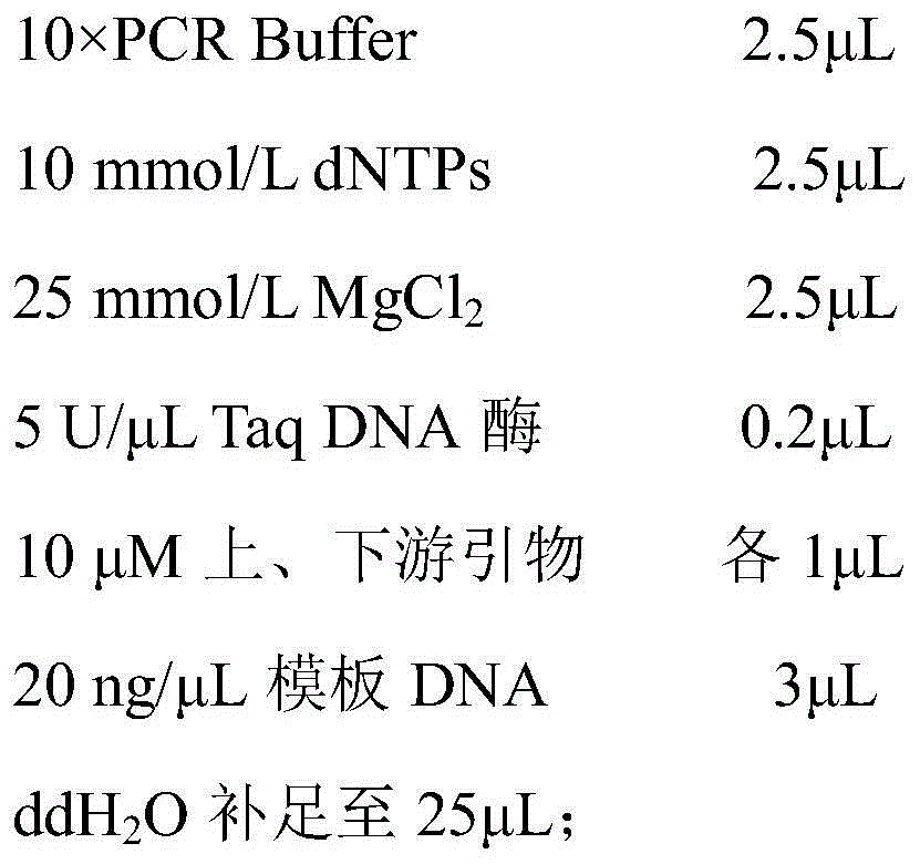 Specific labeling primer for oriental cherry varieties including Cerasus*sieboldii 'Beni-yutaka', C.serrulata 'Albo Plena' and C.serrulata 'Imose'