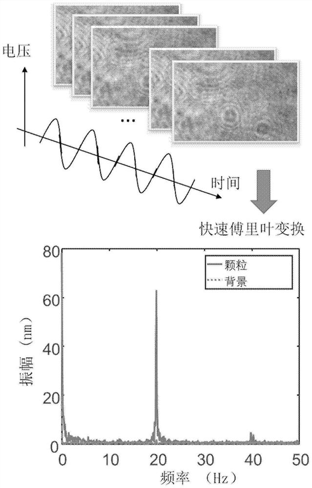 Apparatus and method for analyzing interactions between pollutants and single particles