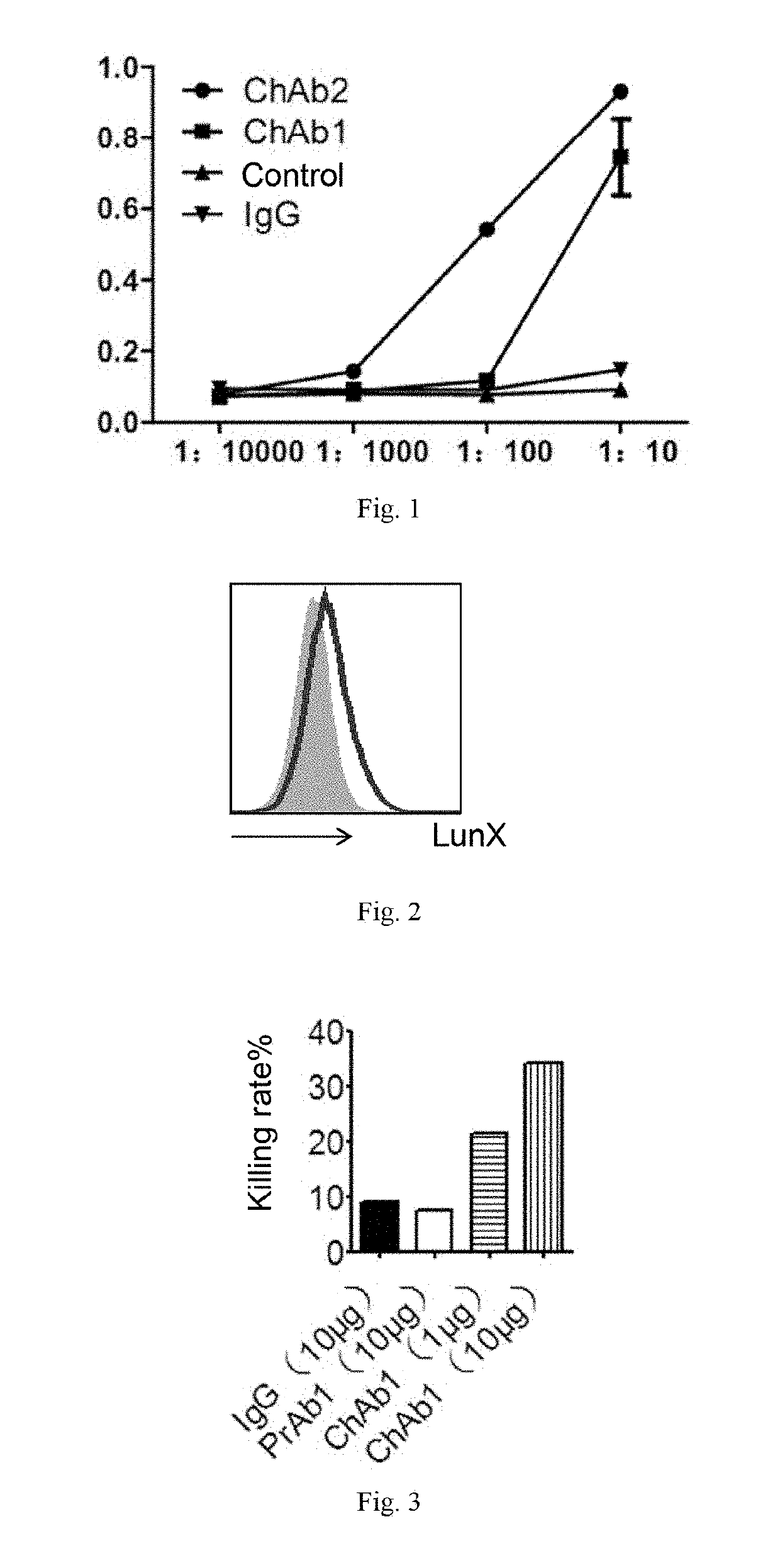 Antibody or antibody fragment capable of binding to lung-specific x protein and use thereof