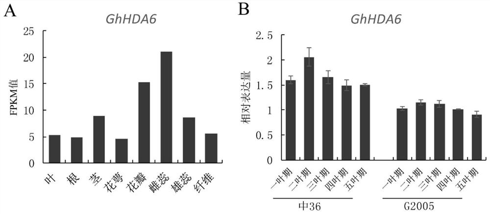 Application of cotton GhHDA6 gene in regulating and controlling flowering period of plants