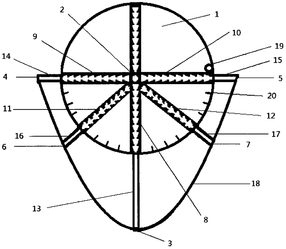 Curve drawing and measuring tool