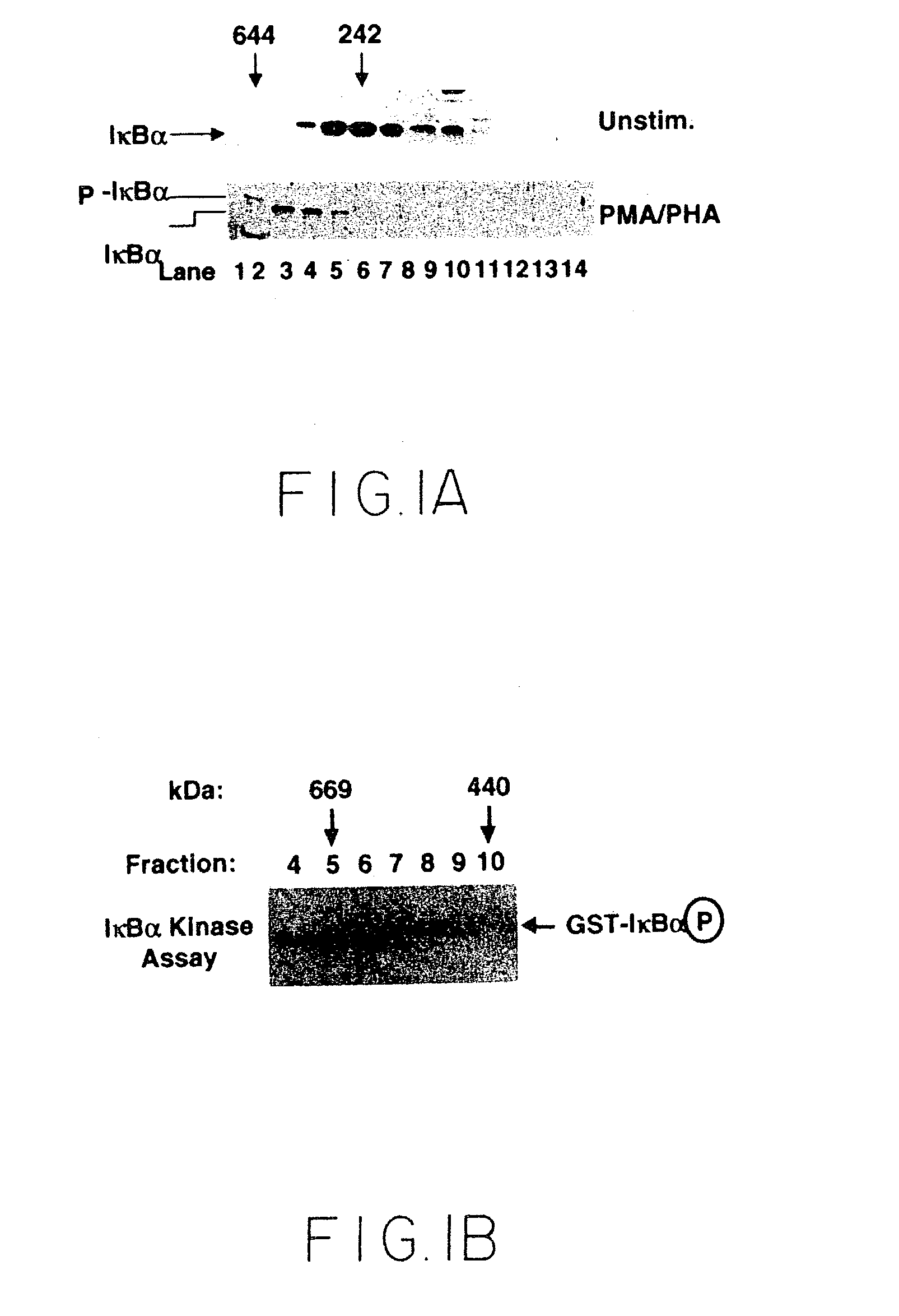Stimulus-inducible protein kinase complex and methods of use therefor