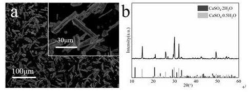 Method for converting calcium sulfate dihydrate into alpha-calcium sulfate hemihydrate in phosphoric acid dihydrate-hemihydrate wet extraction process