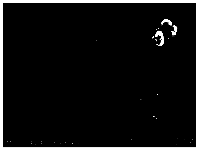 Preparation method of hydroxyapatite containing Sn(II)