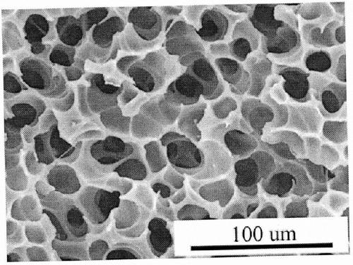Preparation method of polyvinyl alcohol/carbon nanotube microporous foaming material