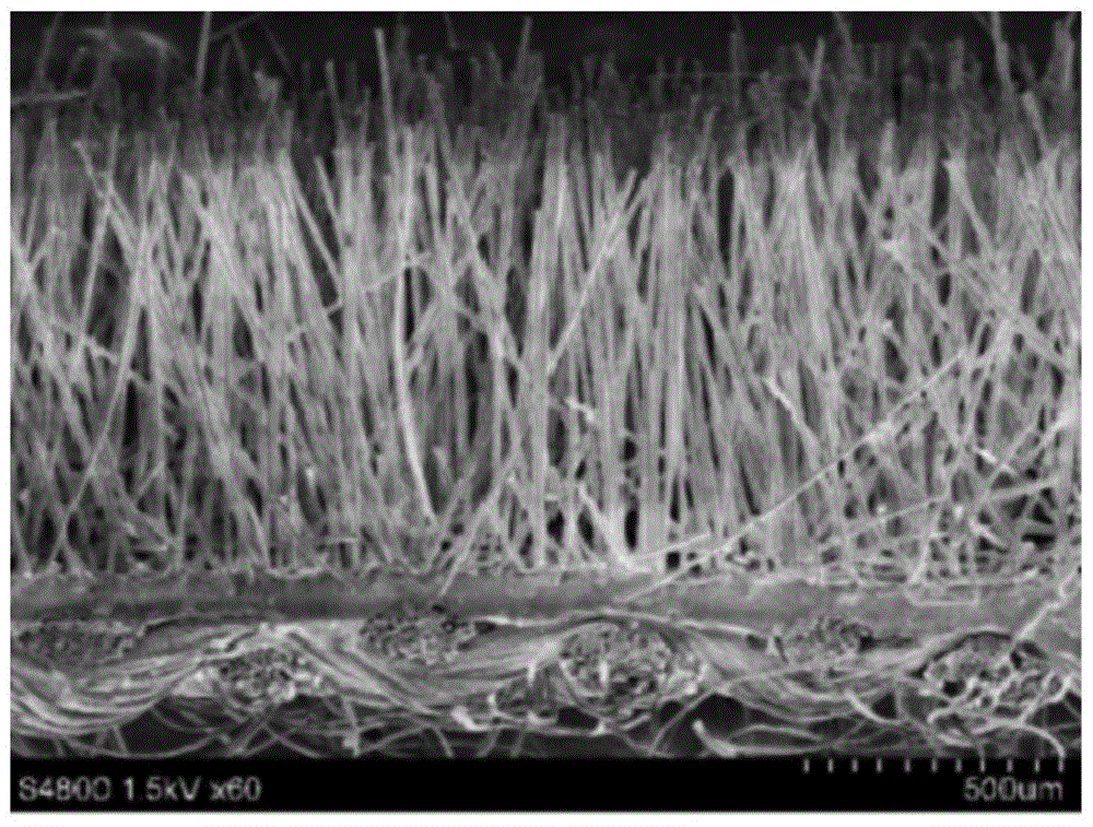 A fiber array cathode