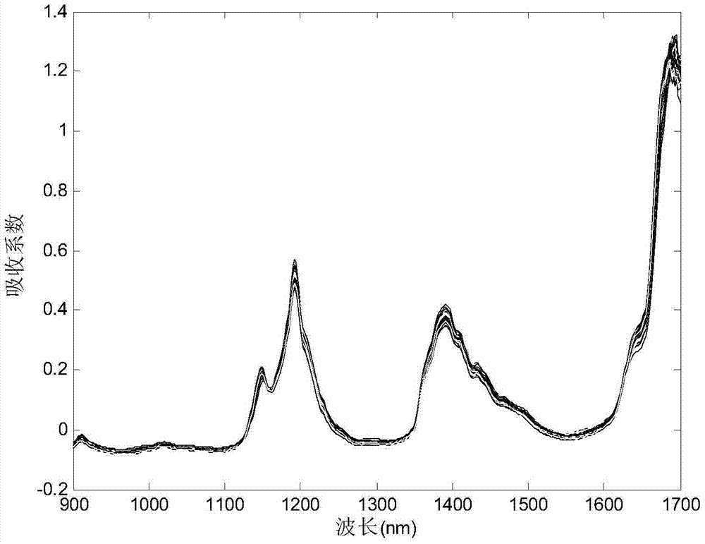 Infrared spectrum wavelength selection method based on discrete multi-universe optimization algorithm